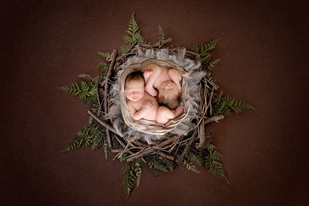 Twin newborn photography Houston Texas